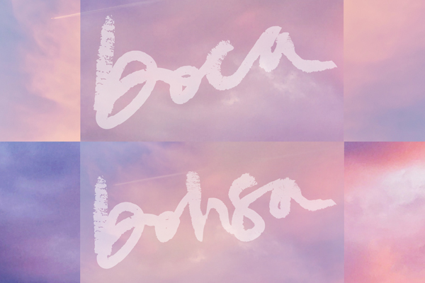 BOCA & BOHSA 2023 Now Available!